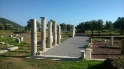 11938830_1127682323926141_802640247_n